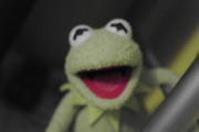 Thumbnail Kermit