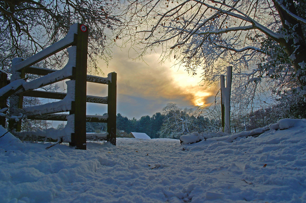 Product picture Through the Gateway